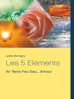 cover image of Les 5 Eléments